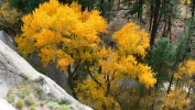 PICTURES/Bandelier - The Alcove House/t_Alcove House View2.JPG